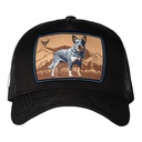 Gorra Dog Breeds 27