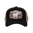 Gorra Equus CE086