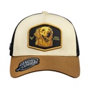 Gorra Dog Breeds Golden Retriever