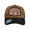 Gorra Equus Blue Roan