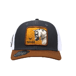 [RCE26] Gorra Tordillo