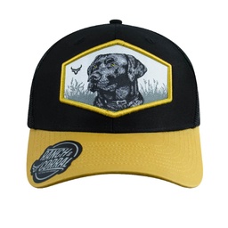 [RCDB25] Gorra Dog Breeds Black Labrador