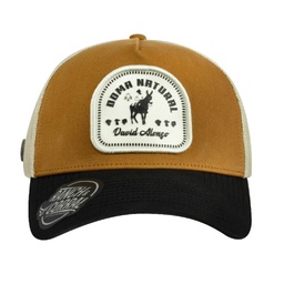 [DA22] Gorra David Alonso 22